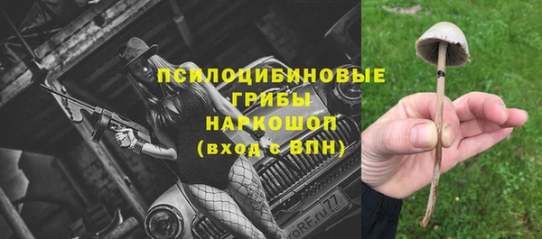 ешки Каменск-Шахтинский
