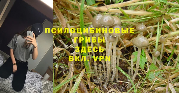герыч Каменка