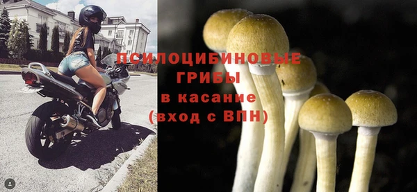 герыч Каменка