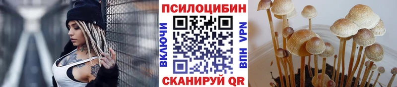 Галлюциногенные грибы Psilocybine cubensis  Купить закладки  Снежногорск 